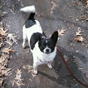 Meet your Posher, Debra